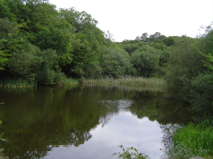 baldwins hill pond by peter house and carol murray.jpg